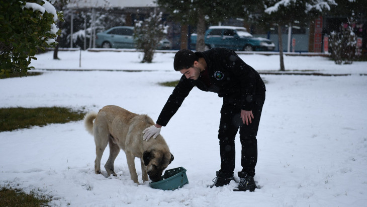 Yeşilyurt Belediyesi, Kar Yağışı Sonrası Sokak Hayvanlarını Unutmadı
