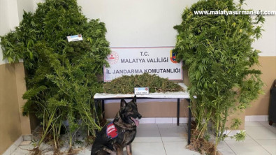 Malatya'da Uyuşturucu operasyonunda 2 zanlı tutuklandı